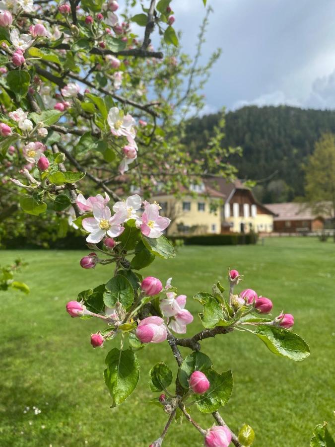 Hotel Dienstl Gut Launsdorf Zewnętrze zdjęcie