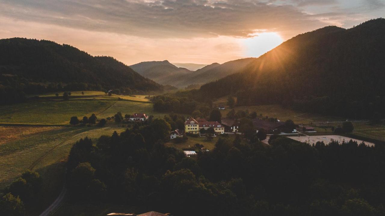 Hotel Dienstl Gut Launsdorf Zewnętrze zdjęcie